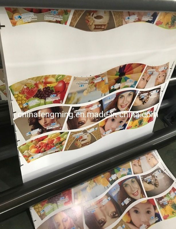 Max. Web Width 920/1020/1220mm FM-B 920-1850 Máy in Flexographic cho Cốc giấy