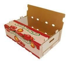 8 Máy in Flexo màu cho giấy mạ và giấy tổng hợp đa lớp