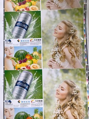 CE phê duyệt Fengming giấy Flexo máy in loại đơn vị cấu trúc để in