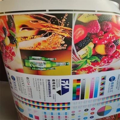 Máy in linh hoạt loại đơn vị cho giấy mỏng và giấy tổng hợp đa lớp