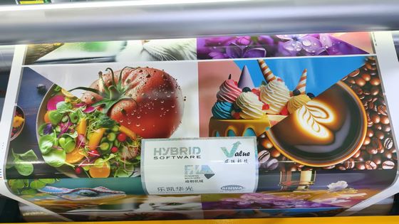 Tự động chất lượng cao cuộn để cuộn loại cánh hoa Full Servo Model Flexo trong dòng máy in